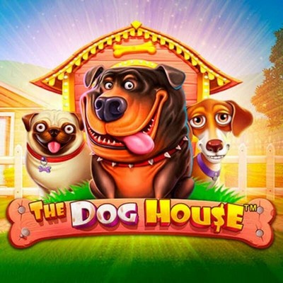 the-dog-house